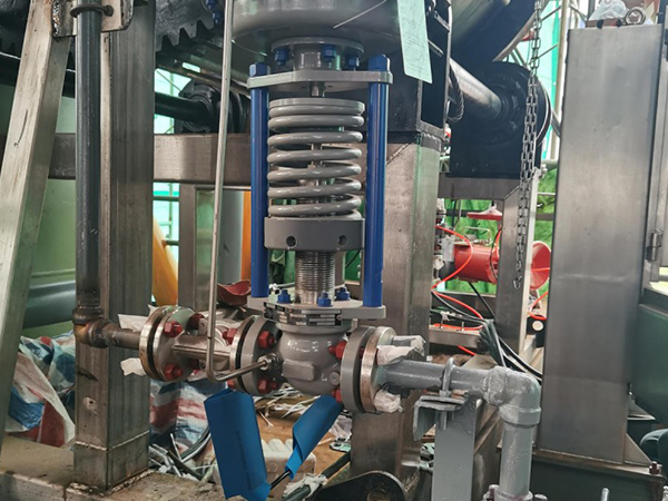 Naturgass Desulfurisering Filter